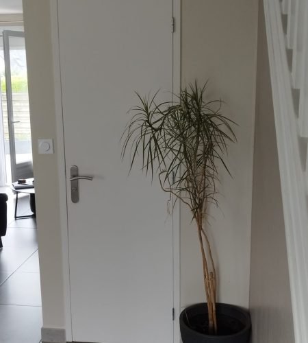 Photo entrée avant